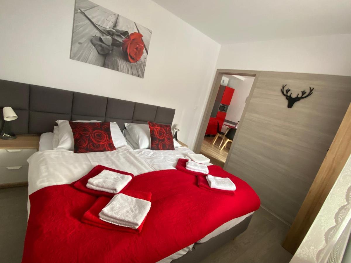 Apartamenty Pod Rudka Czarna Gora Agroturystyka Sienna  Exterior photo